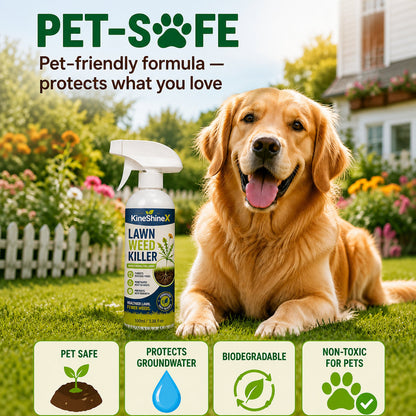 ⚡ [Spring Backyard Revival] Easy & Stress-Free Domestic Weed Killer Spray | Fast-Acting Lawn & Garden Care