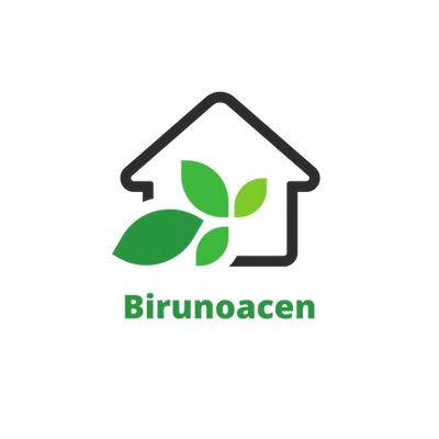 Birunoacen