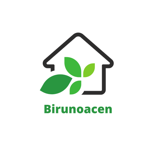 Birunoacen