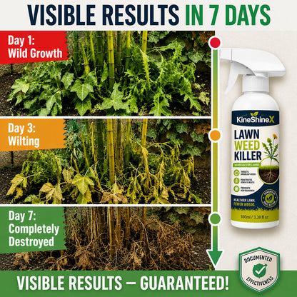 ⚡ [Spring Backyard Revival] Easy & Stress-Free Domestic Weed Killer Spray | Fast-Acting Lawn & Garden Care